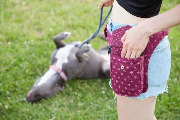 Gassi-Tasche aus Stoff mit Pfoten Muster - Hamburg 758 Verkauf – Bild 4