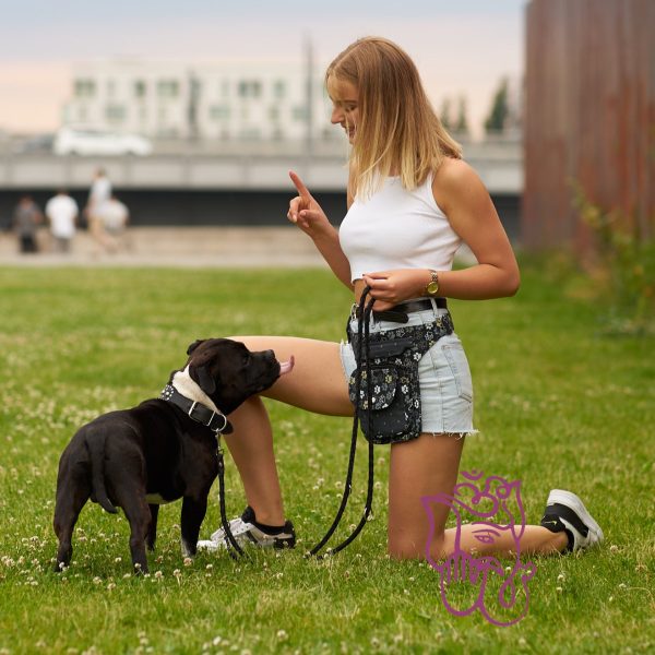 Gassi-Tasche S-XXXL Futtertasche für Hunde Hannover HS 804 Angebot – Bild 2