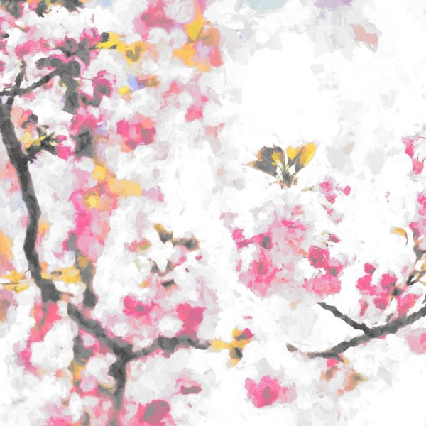 Kirschblüten, Glasbild Quadratisch Verkauf – Bild 5