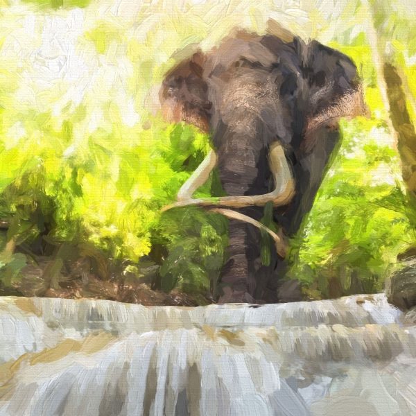 riesiger Elefant am Bach, Glasbild Quadratisch Online – Bild 5
