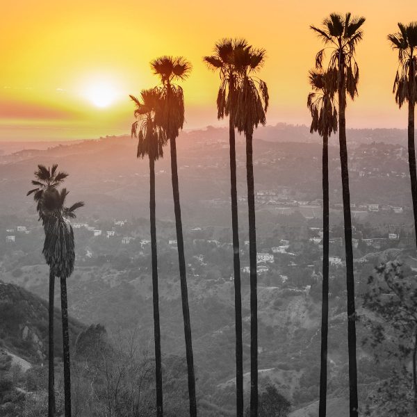 Aussicht auf den Hollywood Hills, Glasbild Quadratisch Verkauf – Bild 5