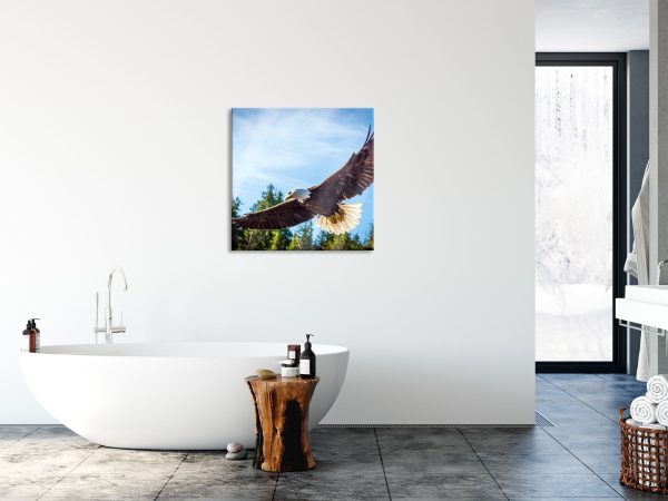 Adler, Glasbild Quadratisch Mode – Bild 4