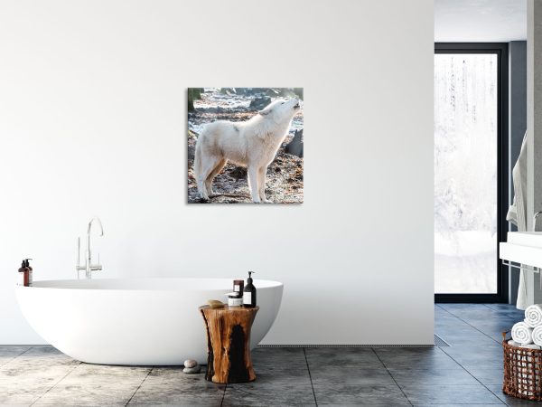 heulende Wölfe, Glasbild Quadratisch Zu verkaufen – Bild 4