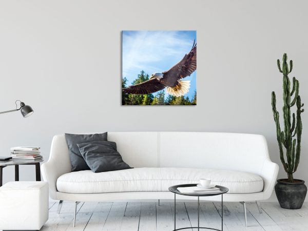 Adler, Glasbild Quadratisch Mode – Bild 2