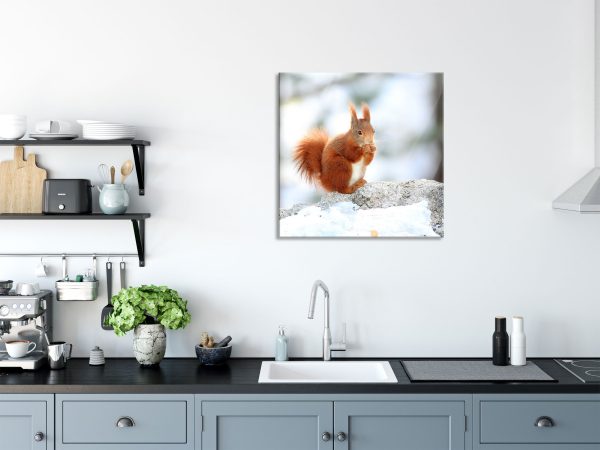 Eichhörnchen im Schnee, Glasbild Quadratisch Mode – Bild 3