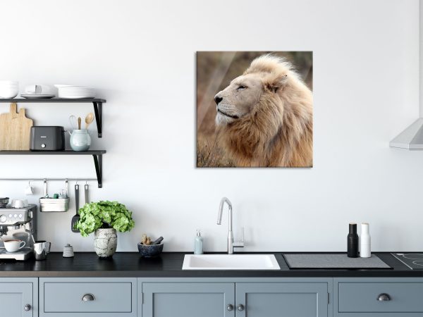 Weißer Löwe im Gebirge, Glasbild Quadratisch Verkauf – Bild 3