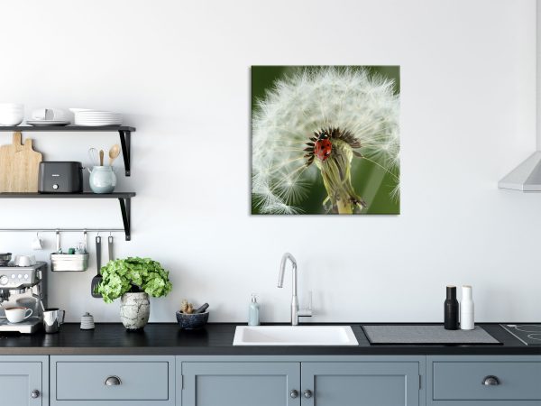 Marienkäfer auf Pusteblume, Glasbild Quadratisch Mode – Bild 3