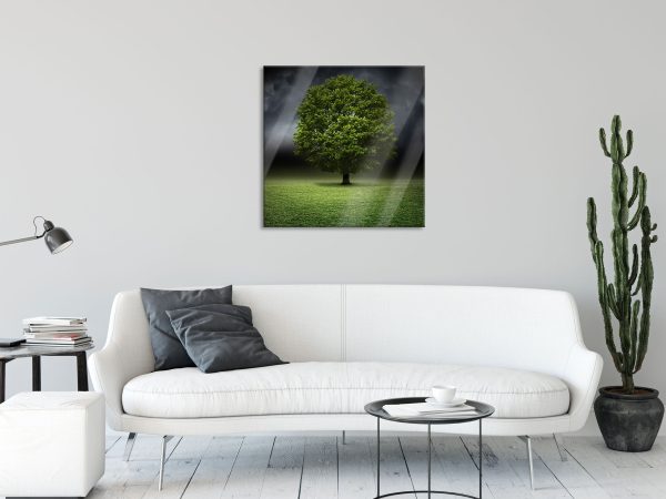 einzelner Baum auf grüner Wiese, Glasbild Quadratisch Online-Verkauf – Bild 2