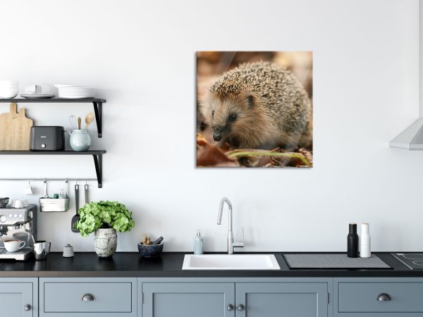 Kleiner Igel, Glasbild Quadratisch Schn?ppchen – Bild 3