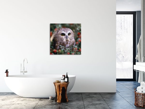 Eule im Vogelbeerenstrauch, Glasbild Quadratisch Jetzt online – Bild 4