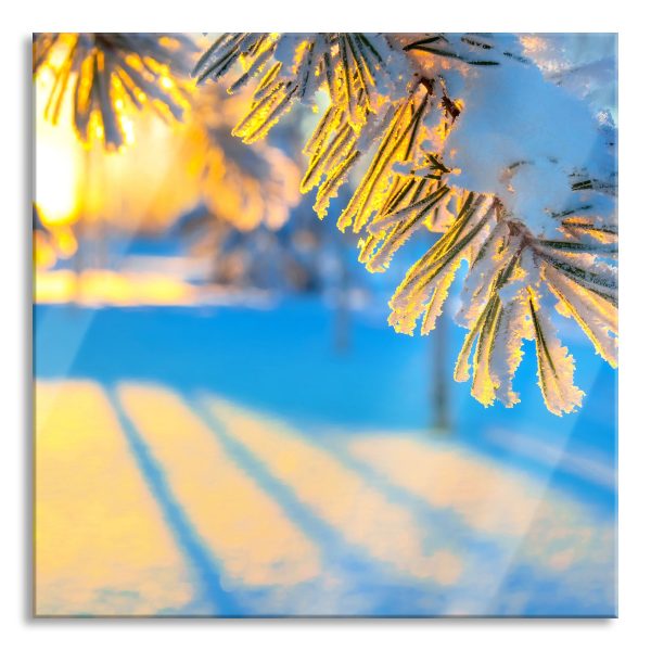 Äste im Frost, Glasbild Quadratisch Mode