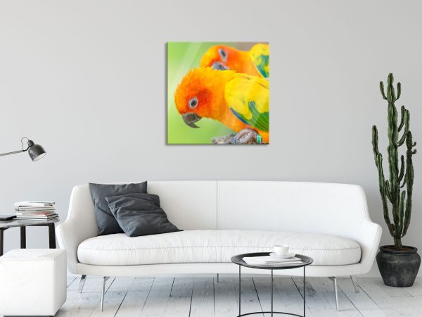 Papageienpärchen, Glasbild Quadratisch Mode – Bild 2