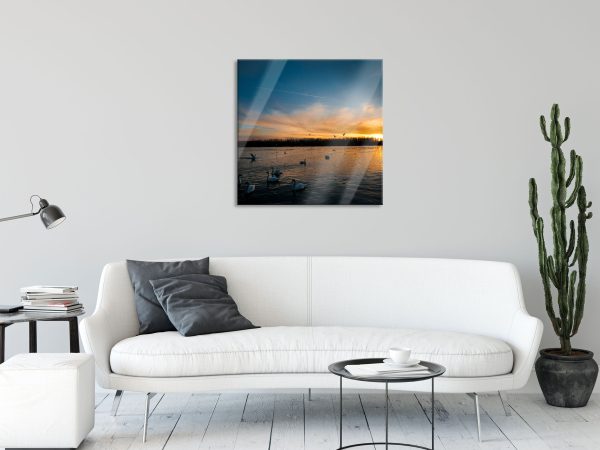 Schwäne im Sonnenuntergang, Glasbild Quadratisch Schn?ppchen – Bild 2