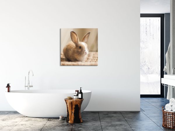 Süßes Kaninchen, Glasbild Quadratisch Verkauf – Bild 4