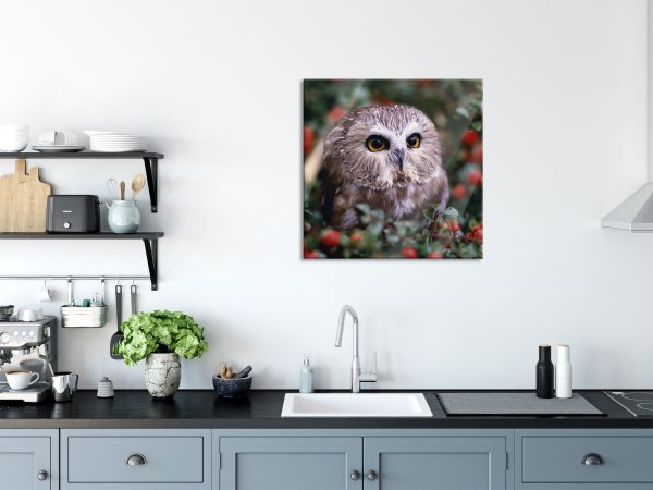 Eule im Vogelbeerenstrauch, Glasbild Quadratisch Jetzt online – Bild 3