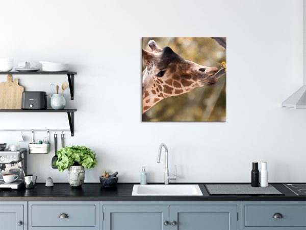 Giraffe Gesicht, Glasbild Quadratisch Online – Bild 3