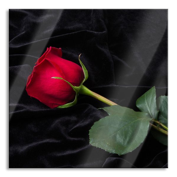 Rose, Glasbild Quadratisch Verkauf