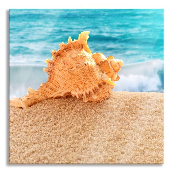 Muschel am Strand, Glasbild Quadratisch Zu verkaufen