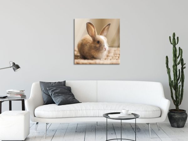 Süßes Kaninchen, Glasbild Quadratisch Verkauf – Bild 2