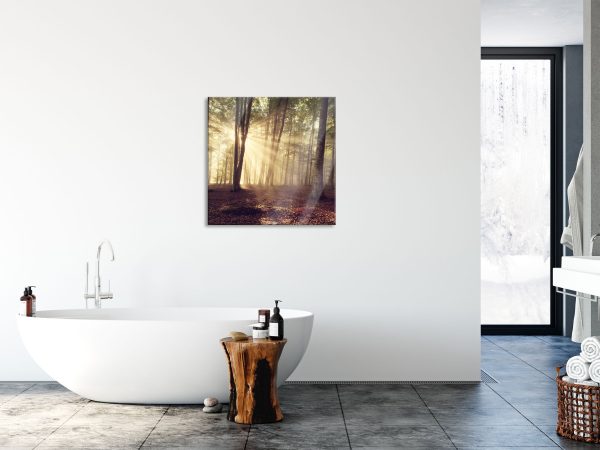 Waldlichtung im Sonnenschein, Glasbild Quadratisch Verkauf – Bild 4